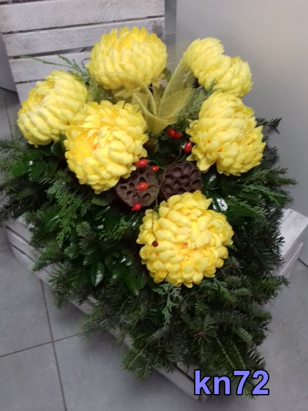Lublin, kwiaciarnia, kwiaty doniczkowe